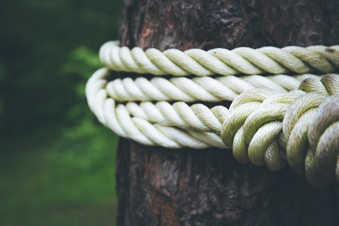 white rope on brown tree closeup photography | Photo by Markus Spiske on Unsplash